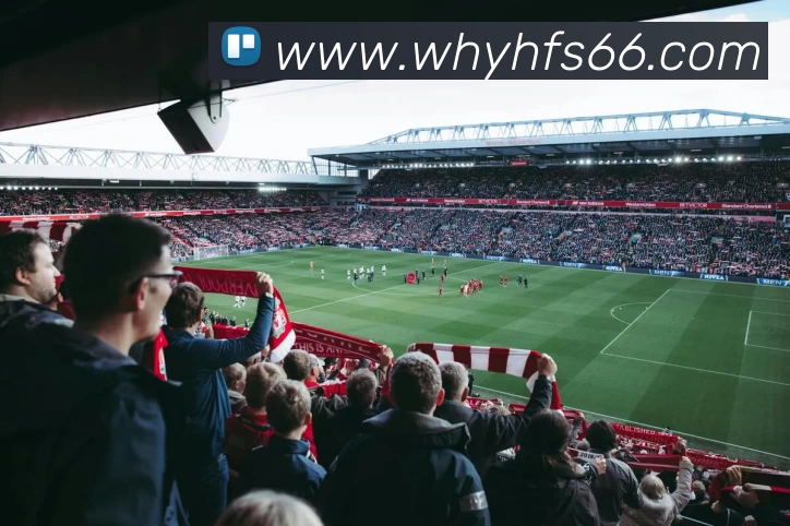 Kaiyun - 中国(官方网站) - 国家认证服务平台服务体系